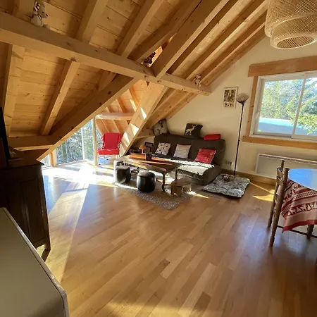 Au Rocher Du Cerf Deux Pas Du Centre Apartament Le Lioran